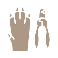 mail-trim Nail Trimming The Pet Stylist Mobile Groomer