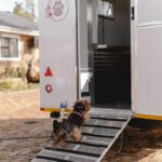 Ramp for easy entrance